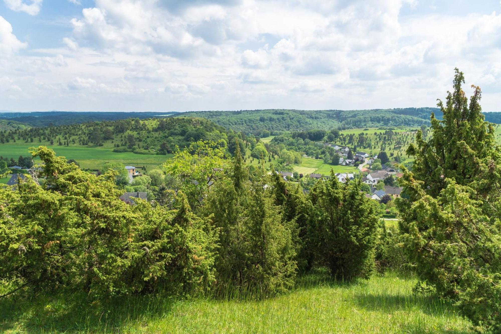 Holzhaus Onkel Fritz Mit Sauna Und Whirlwanne Esch  Екстер'єр фото