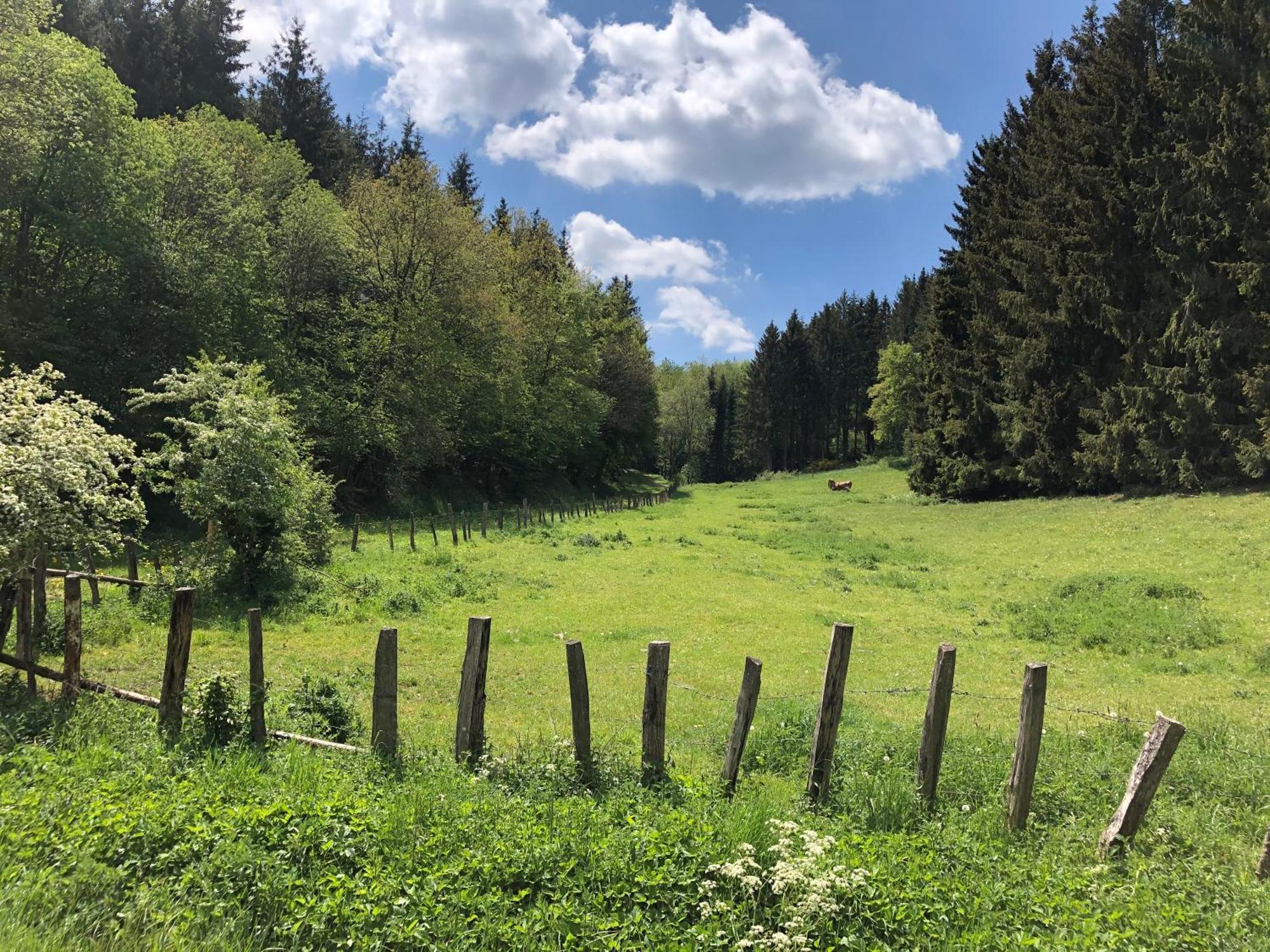 Holzhaus Onkel Fritz Mit Sauna Und Whirlwanne Esch  Екстер'єр фото